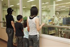 紀州梅干館　見学の様子