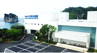京都大学白浜水族館　外観