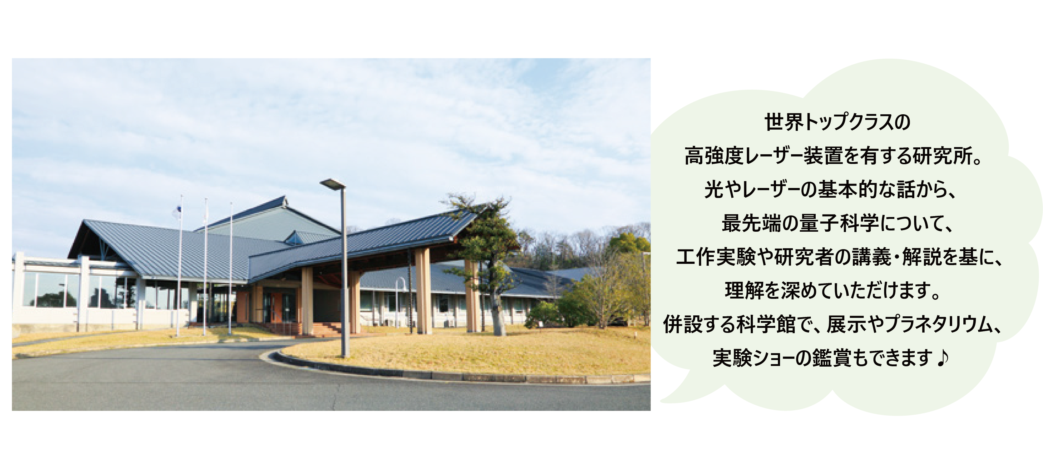 見学概要