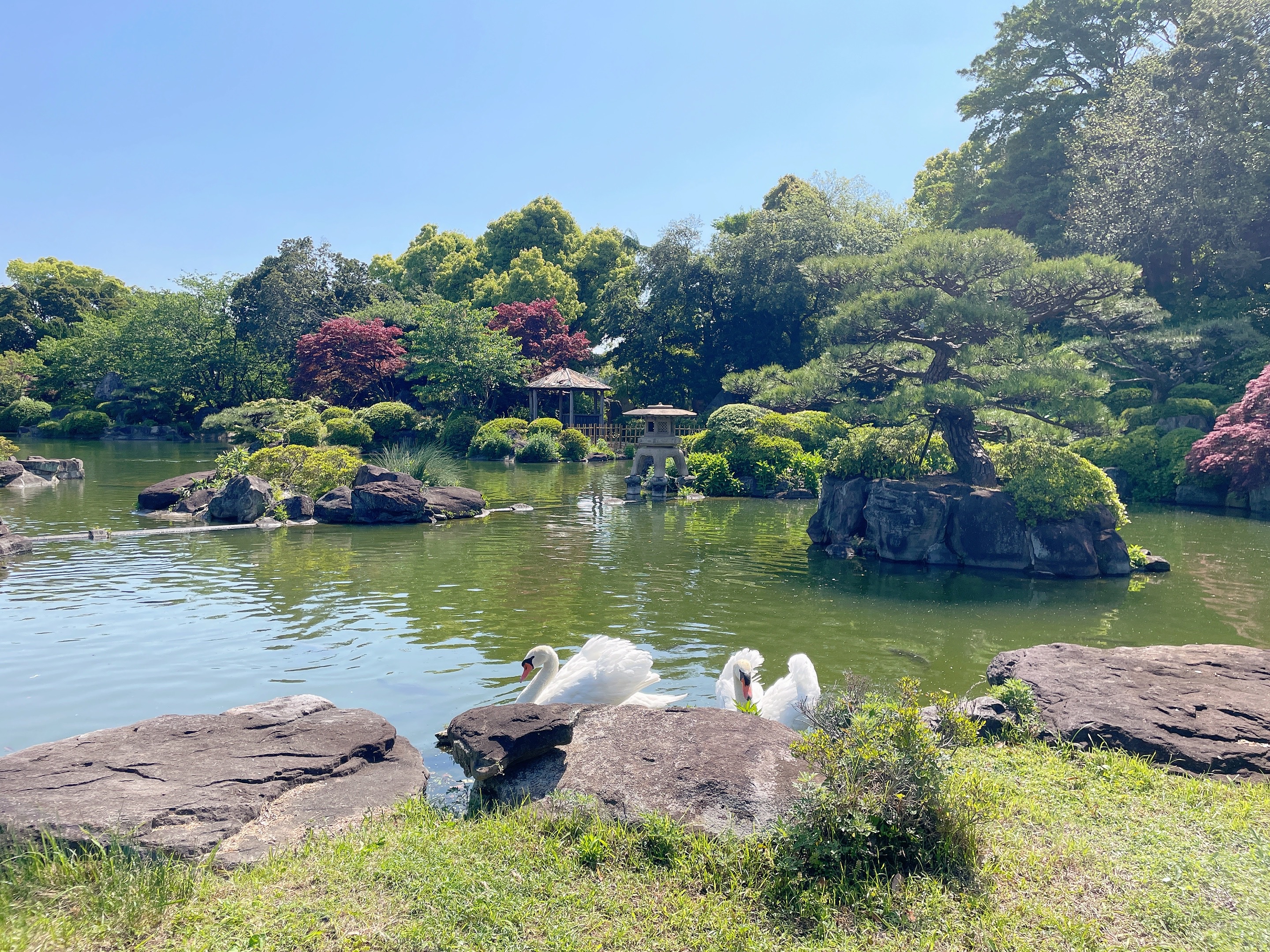 3,000坪を誇る中野BC（株）の日本庭園