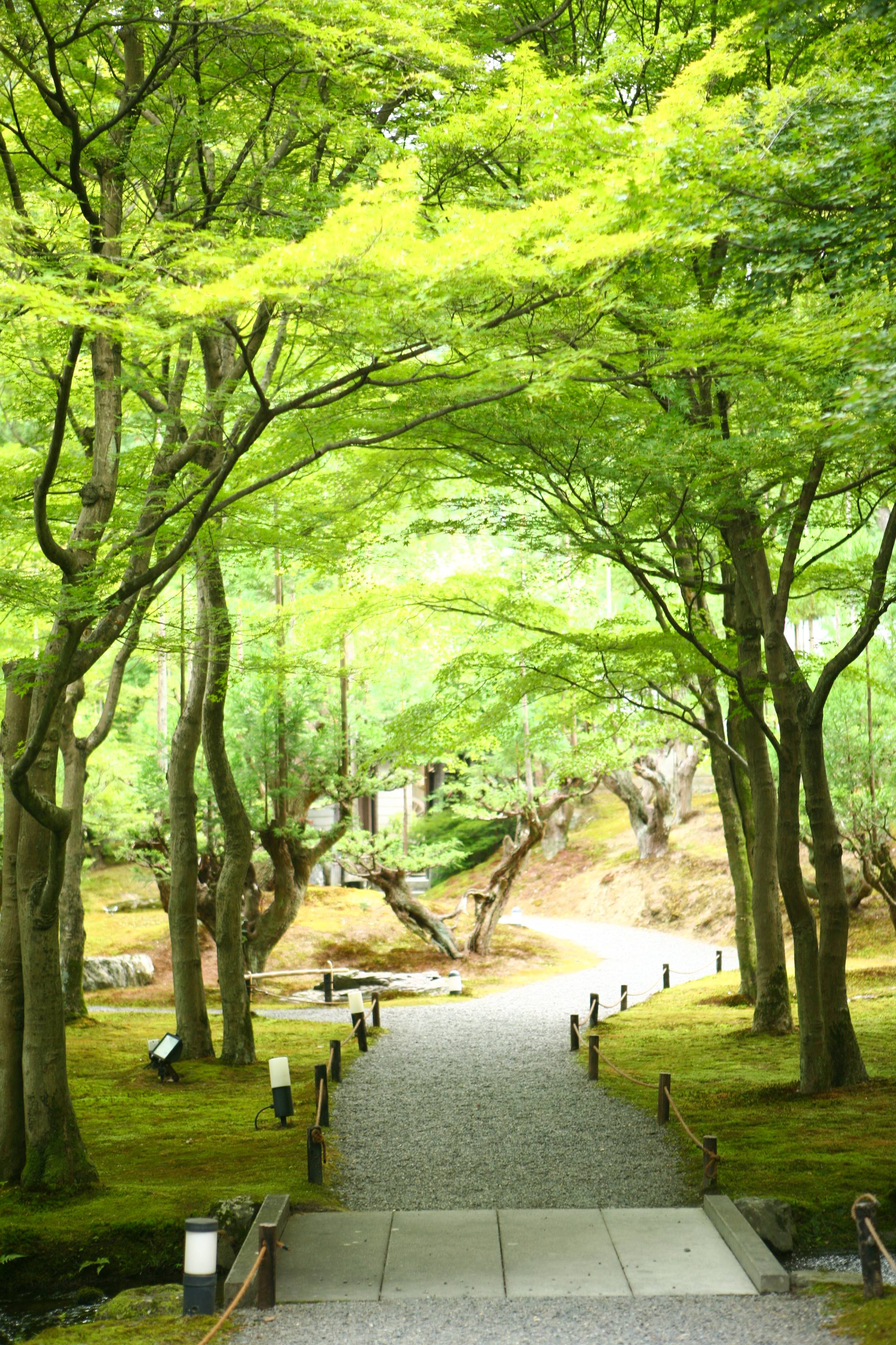 しょうざんリゾート京都