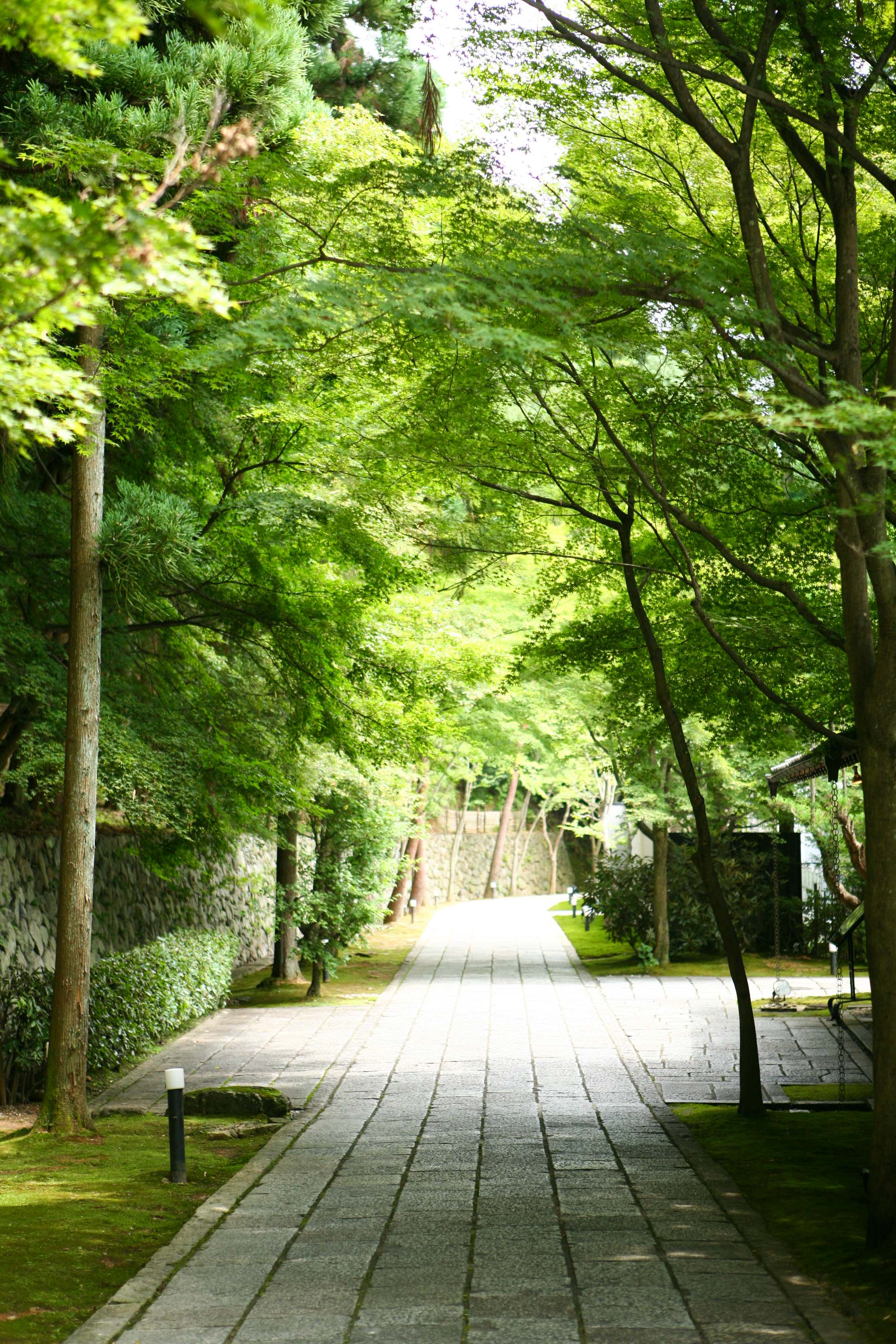 しょうざんリゾート京都