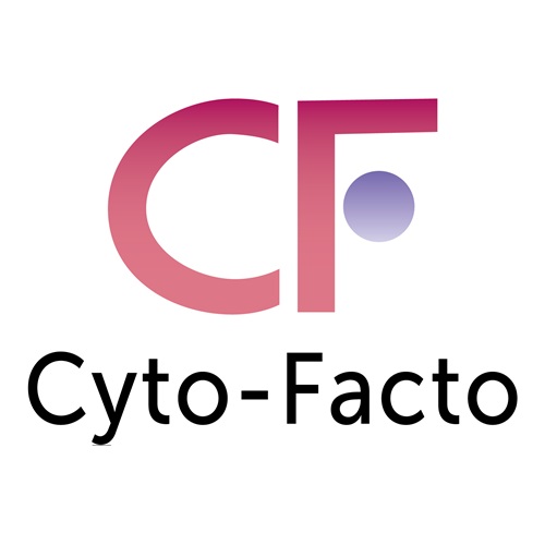 株式会社サイト-ファクト