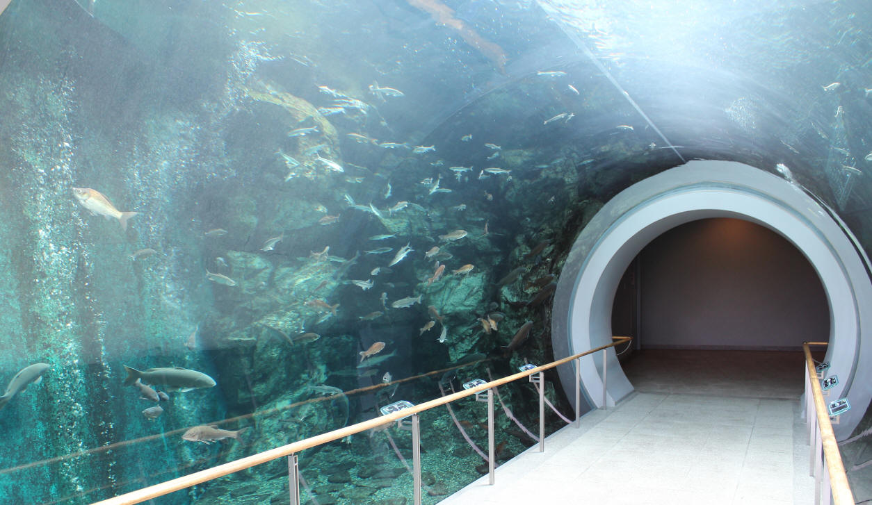 Lake Biwa Museum