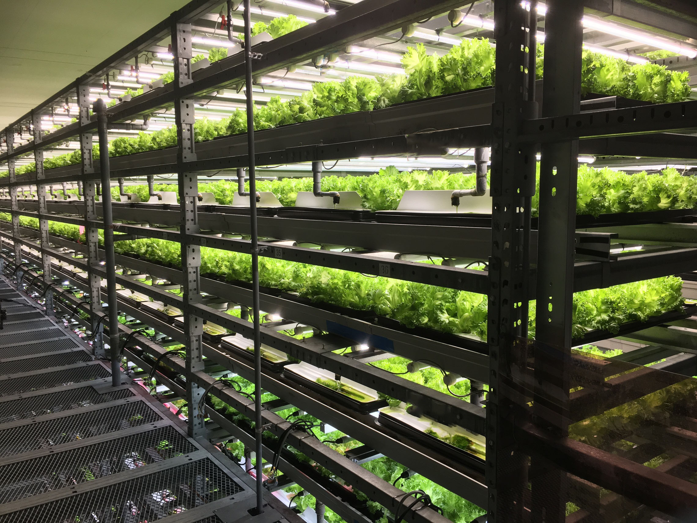 R&D Center for Plant Factories of Osaka Metropolitan University